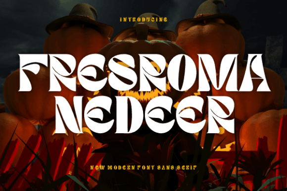 Fresroma Nedeer: The Warm Modern Display Font