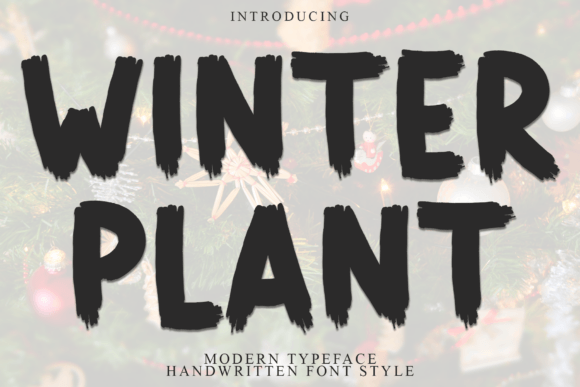 Winter Plant: A Bold Brush Font for Web Designers